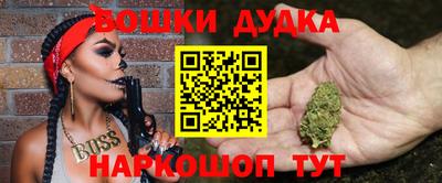 спиды Будённовск